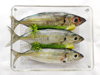Close up view of Fresh Indian Scad Fish decorated with herbs and vegetables.Selective focus.