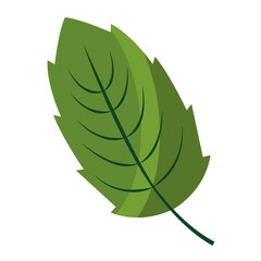 sawn leaf style flat icon vector illustration design