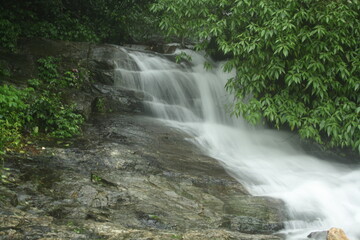 Fototapeta premium Waterfall in the forest