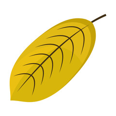 elliptical tree leaf flat style icon vector illustration design