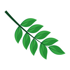 leaf plant with pinnate form flat style icon vector illustration design