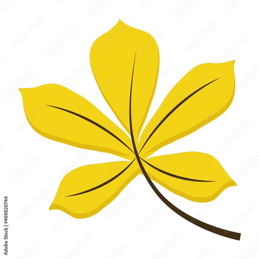 Canvas Prints leaf with webbed form flat style vector illustration design