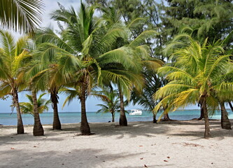 A view of Water Cays Island near Utila Island and the Caribbean Sea. Honduras.