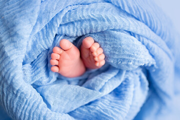 feet of a newborn baby. legs on a blue background. baby feet
