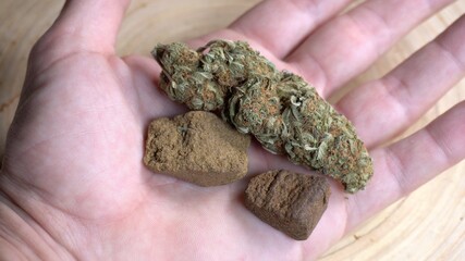 Europe, Italy , Milan - Weed marijuana e hashish thc drug - more and more young millennials use joint drugs during the Covid-19 Coronavirus epidemic - rolling  a joint to smoke 