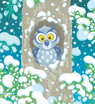 Wise northern owl with large round eyes looking out of its hollow in a snow-covered tree in a thicket of a snowy wild forest on a cold winter night, vector cartoon illustration