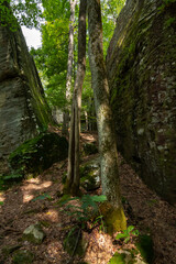 Unique rock formations on the hiking trails around Bell Smith Springs.  Shawnee National Forest, Illinois.