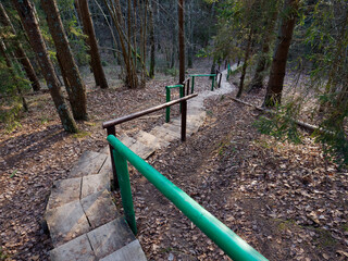 wooden staircase to the hill in the forest