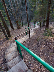 wooden staircase to the hill in the forest