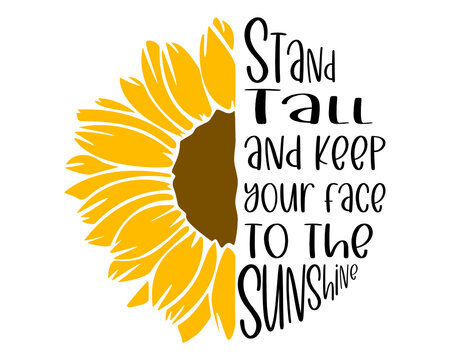 493 Best Sunflower Png Images Stock Photos Vectors Adobe Stock