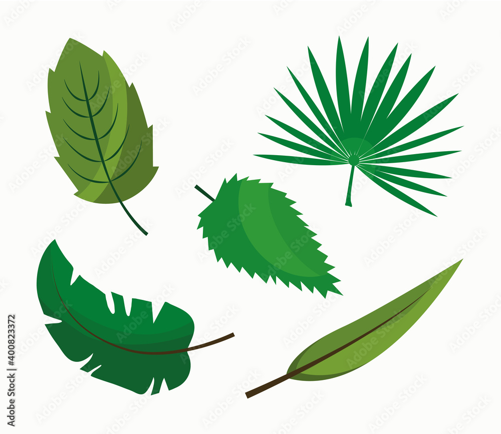 Wall mural bundle of twelve leafs plants flat style icons vector illustration design