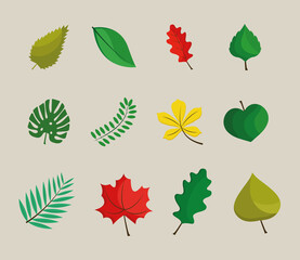 bundle of six leafs plants flat style icons vector illustration design