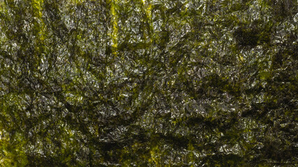Nori seaweed as a background. Top view.