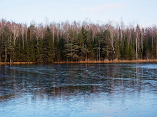 Obraz premium forest lake covered with ice tall trees on the shore