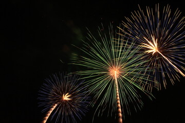 闇夜にさく綿毛