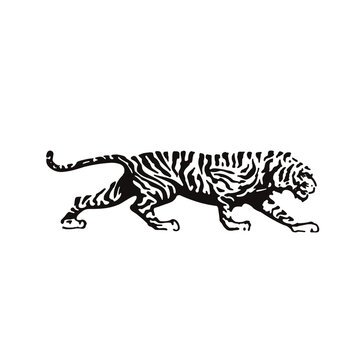 tiger logo design