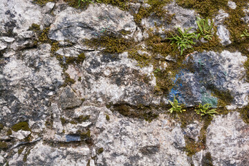 wall of stones, texture, background