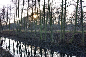 Wuhletal in Berlin im Winter