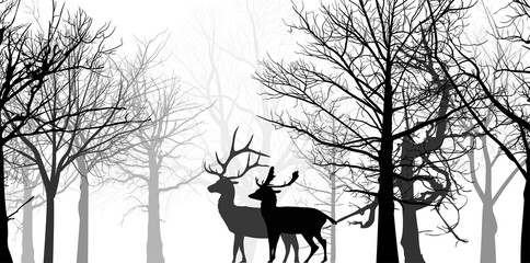 two deer silhouettes in bare forest isolated on white