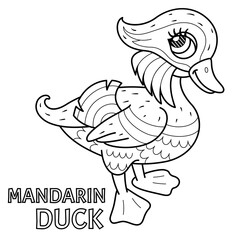 Children's coloring book Mandarin duck.