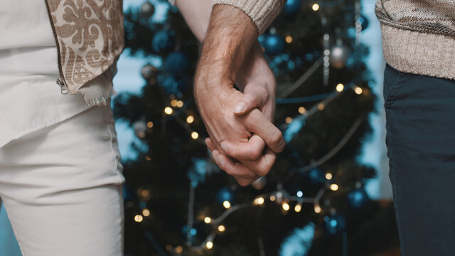 Close up, male gay gouple holding hands in front of decorated christmas tree. High quality photo