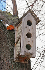 Birdhouse on tree at springtime