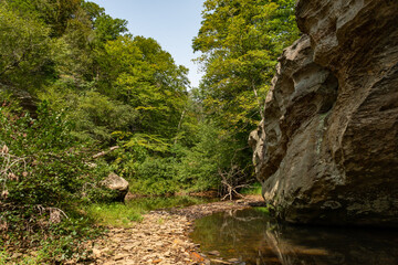 Fototapeta na wymiar rock formations along the creek in the Bell Smith Springs area of the Shawnee National Forest in southern Illinois.