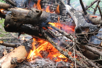 Flames of fire and burning wood