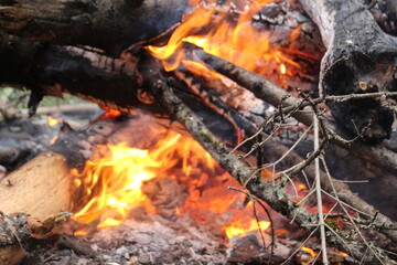 Flames of fire and burning wood