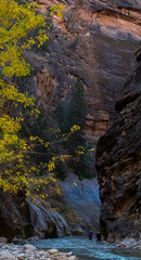 Walking in the narrow. 