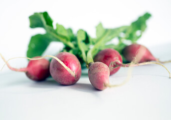 radishes1