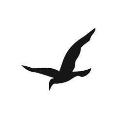 bird logo design