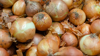 a lot of yellow onions on the counter background c