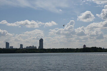 Sunny sky with clouds on the Bay with seagulls and sailboat