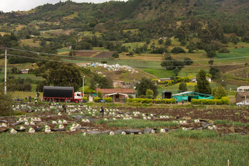 colombia boyaca villa de leyva raquira