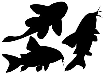 Aquarium catfish in the set. Vector image.