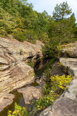 Barren rock formations and small creek run between the trees in the Bell Smith Springs area of the Shawnee National Forest.