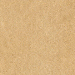 Vintage and old looking paper background. Retro cardboard texture. Grunge paper for drawing. Ancient book page.