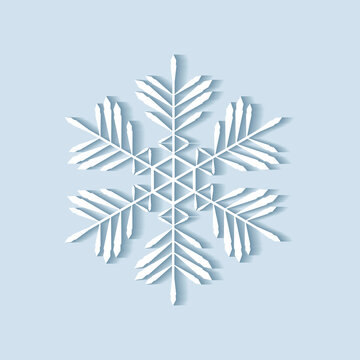 Vector snowflake. Vector snowflake icon. Snowflake logo. Flat winter snowflake.