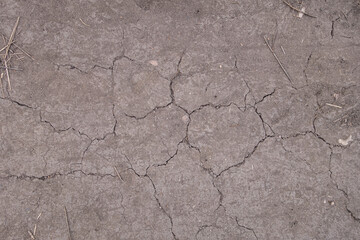 abstract background of dry cracked earth close up