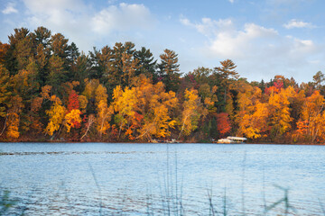 Lakeshore with trees in northern Minnesota in brilliant fall color at sundown