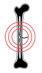 Human internal organs