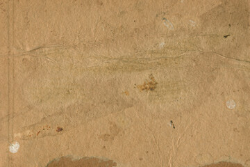 Vintage and old looking paper background. Retro cardboard texture. Grunge paper for drawing. Ancient book page.