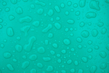 Close up Water droplets on green background.