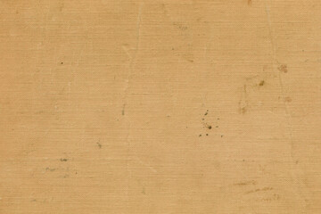 Vintage and old looking paper background. Retro cardboard texture. Grunge paper for drawing. Ancient book page.