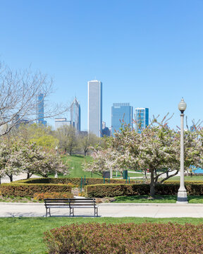 Skyscrapers seen from Grant Park, Chicago, USA