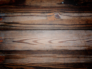 Fototapeta premium texture of a wet old tree