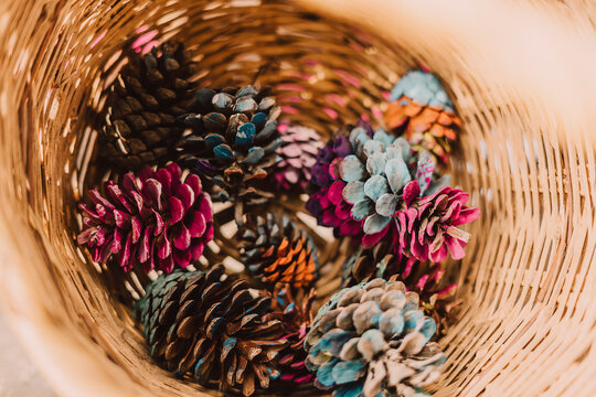 Colorful pine cones in wicker basket at park
