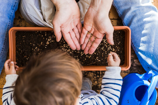 Mother And Son Planting Seeds In Flower Pot While Sitting At Balcony