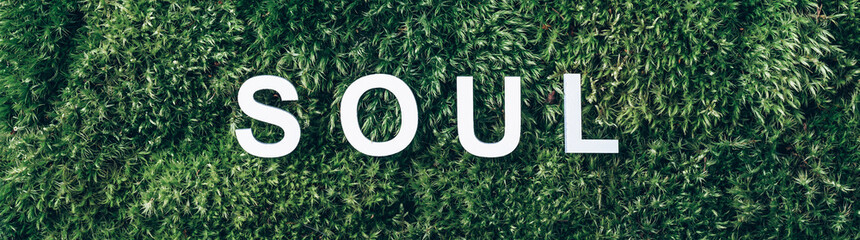 Word SOUL on moss, green grass background. Top view. Copy space. Banner. Biophilia concept. Nature...